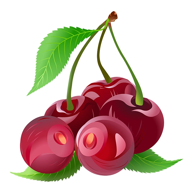 Beautiful red cherries with leaves vector graphic on white background with CC0 license, ideal for design projects and animation.