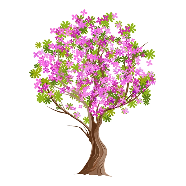 Beautiful cherry tree vector graphic on white background with CC0 license, ideal for design projects and animation.