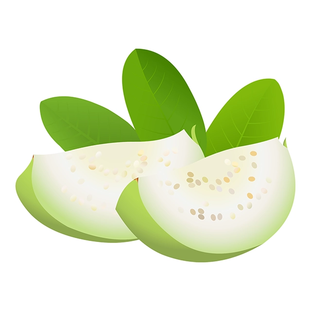 Beautiful guava slices with leaves vector graphic on white background with CC0 license, ideal for design projects and animation.