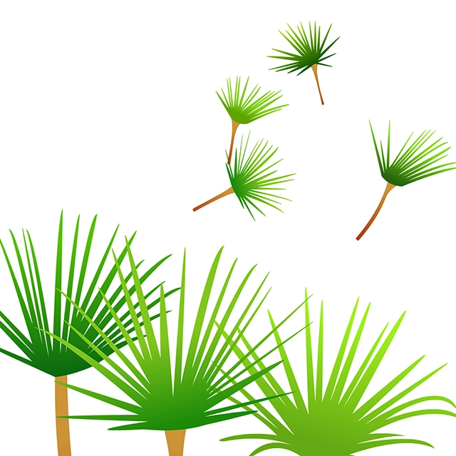 Beautiful leaves vector graphic on white background with CC0 license, ideal for design projects and animation.