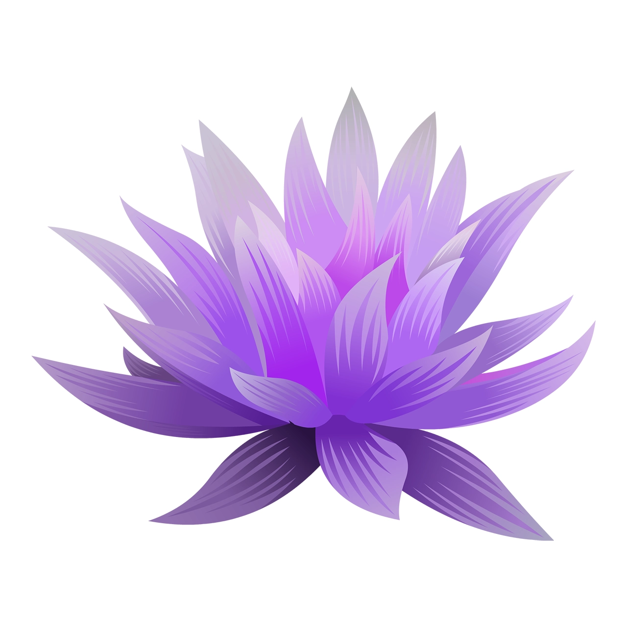 Beautiful pink-violet lotus flower vector graphic on white background with CC0 license, ideal for design projects and animation.