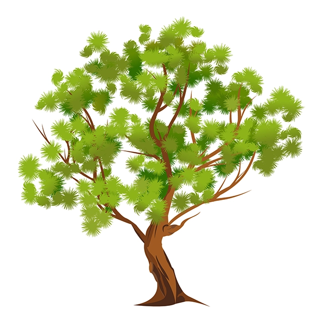 Beautiful tree, large tree vector graphic on white background with CC0 license, ideal for design projects and animation.