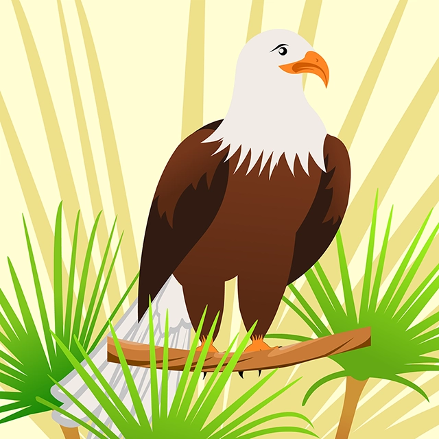 Eagle bird vector graphic with CC0 license, ideal for design projects and animation.